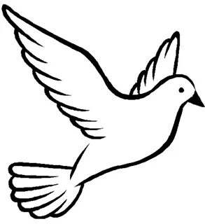 Download High Quality Dove Clipart Outline Transparent Png I