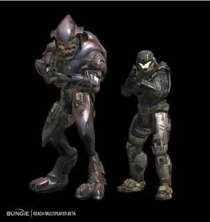 Sangheili Halo Alpha Fandom Halo armor, Fantasy creatures ar