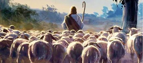 Jesus the Good Shepherd leads his sheep in John 10 Psephizo