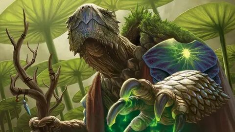 Tortle 5e Race Guides for Dungeons & Dragons 5th Edition Arc