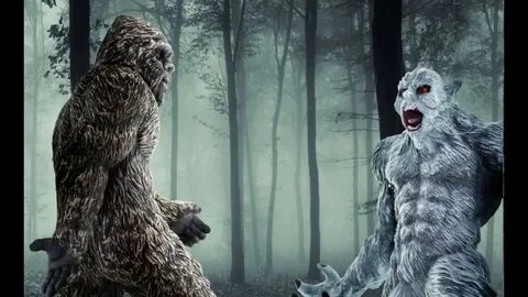 Bigfoot vs. Yeti - A Safari Cryptozoology Showdown - YouTube