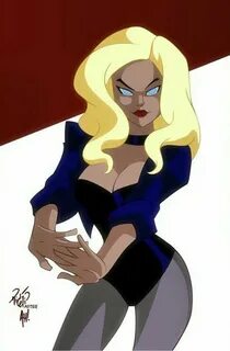Black Canary Female cartoon characters, Comic movies, Dc com