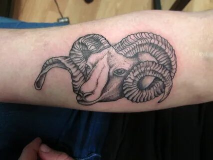 20 Nice Sheep Tattoo Images, Photos And Fantastic Ideas