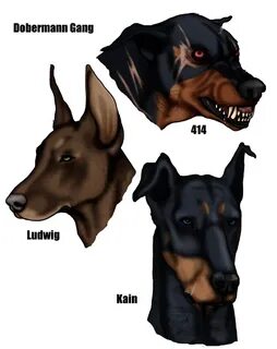 Brown Doberman Drawing / Find & download free graphic resour