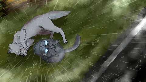 KsAn Symbiotic - warriors cats