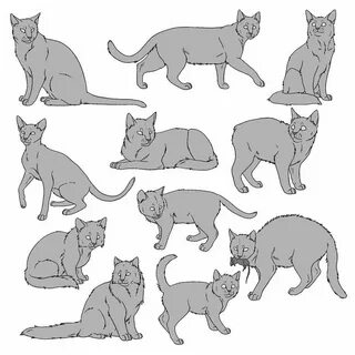Cat design Cat drawing tutorial, Cat reference, Animal sketc