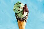 Image result for mint ice cream Ice cream facts, Homemade ic