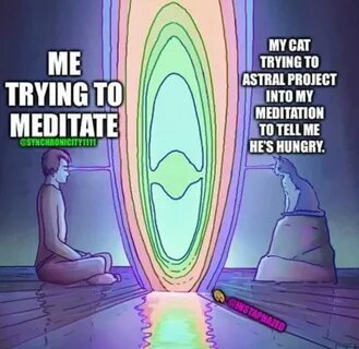 #meditation #cats #animals #memes #minds Minds