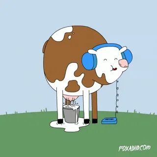 Best Milk Cow GIFs Gfycat