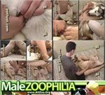 Male Animal Sex - Private Amateur Gay Bestiality Archive !!!