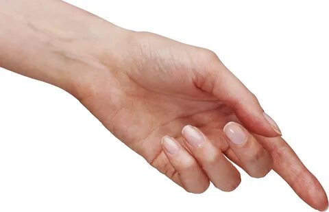 Download PNG image: Hands PNG, hand image free Hand images, 