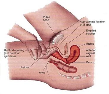 How to Find G Spot - EnkiRelations