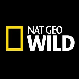 NatGeoWild - YouTube National geographic wild, National geog