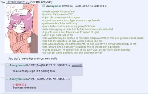 Anon becomes his own waifu 4chan Know Your Meme