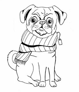 Pug illustration - Memoli Ward - Line drawing Pug illustrati