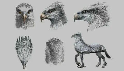 Buckbeak Harry Potter drawing Harry potter creatures, Harry 