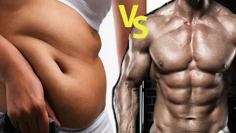 Muscles Named By Size / Increase Muscle Size and Definition Muscle, Fitness ... 