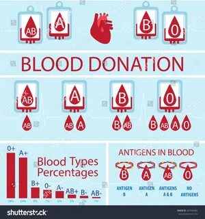 Blood Donation Vector Infographic Blood Types Stock Vector (