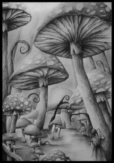 Into wonderland by RamonaTreffers on DeviantArt Mushroom dra