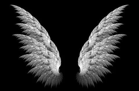3D Wings HD Wallpaper Angel wings iphone wallpaper, Black wa