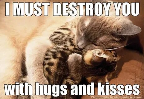 I must destroy you with hugs and kisses meme - AhSeeit