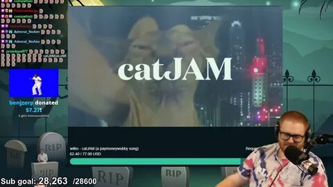 PaymoneyWubby Reacts to catJAM by willro - YouTube