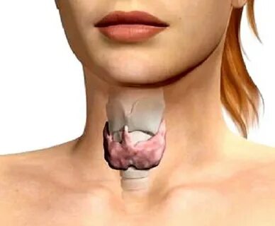 Лечение щитовидной железы народными средствами - Доброхаб