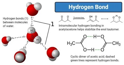 Hydrogen Bond- Definition, properties, types, formation, exa