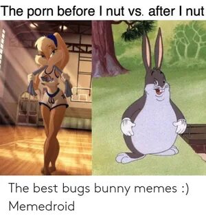 🐣 25+ Best Memes About Bunny Zootopia Bunny Zootopia Memes