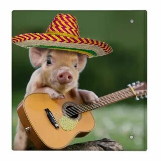 mexican pig - pig guitar - funny pig binder Zazzle.com Cute 