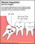 Dentist Wisdom Teeth Meme