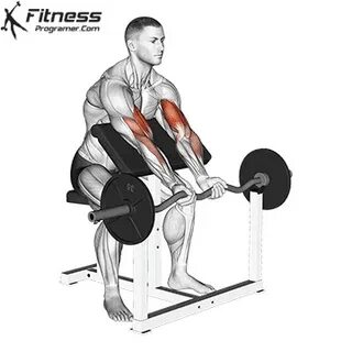 How To Do EZ-Bar Preacher Curl Benefits And Muscles Worked