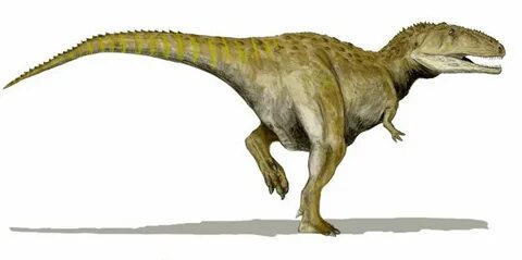 Art illustration - Dinosaurs - Mapusaurus: ("lizard of the e
