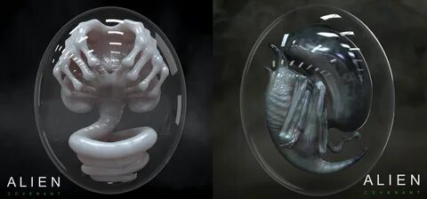 Alien egg gif