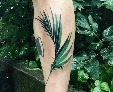 Pin by Erin Kessler on Tattoo Ideas Palm tattoos, Nature tat