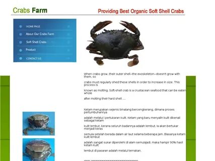 Qualitycrabs.net: Soft Shell Crabs - Quality Crabs Aquacultu