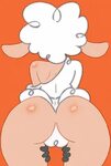 Xbooru - anthro ass bent over bubble butt female furry sheep