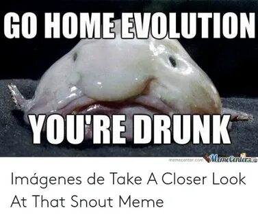 GO HOME EVOLUTION YOU'RE DRUNK MemeCentera Memecentercom Imá