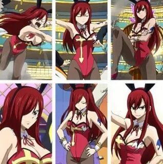 Erza Scarlet bunny suit. Fairy tail photos, Erza scarlet, Fa