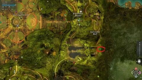 Alle Mastery Insight Points Im Auric Basin In Guild Wars 2 J