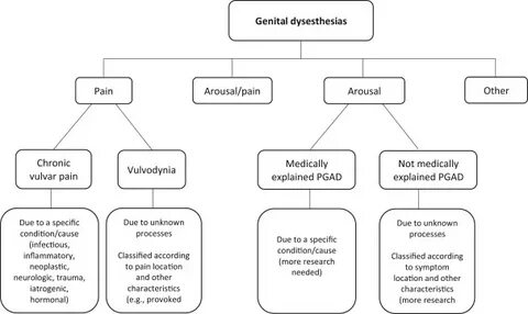 Genital Sensations in Persistent Genital Arousal Disorder: A