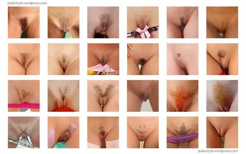Pubic hair styles 🍓 Category:Female pubic hair styles - Wikimedia Commons