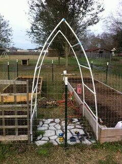 This is a garden trellis we made from PVC. Planted the plant