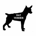 rat terrier name silhouette Rat terriers, Rat terrier art, R