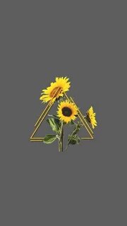 Sunflower Aesthetic Wallpapers - 4k, HD Sunflower Aesthetic 