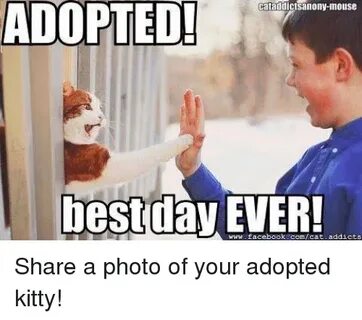 🐣 25+ Best Memes About Youre Adopted Youre Adopted Memes