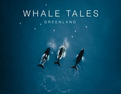 /celebrity+whale+tale