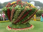 Amazing flower art display. Topiary garden, Floral topiaries