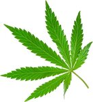 Cannabis Png - Marijuana Png Clipart - Full Size Clipart (#5