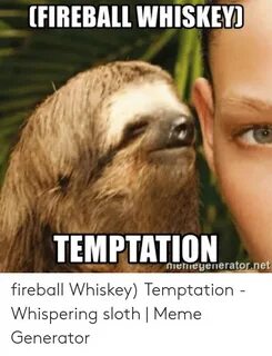 FIREBALL WHISKEY TEMPTATION Memegeneratornet Fireball Whiske